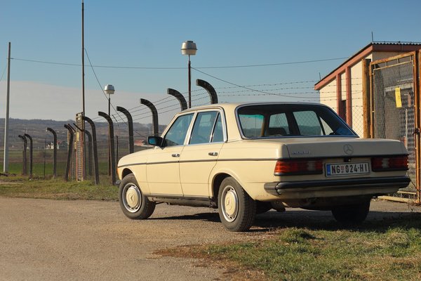 What are the differences in road tax for diesel versus hybrid cars in the UK in 2024?